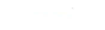 SalesTech Brasil